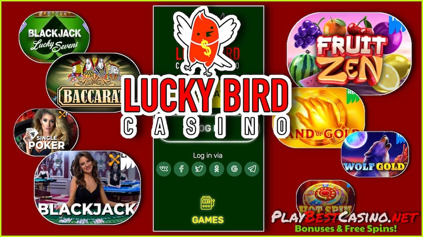 Caça-níqueis e jogos de crash de cassino Lucky Bird na figura.