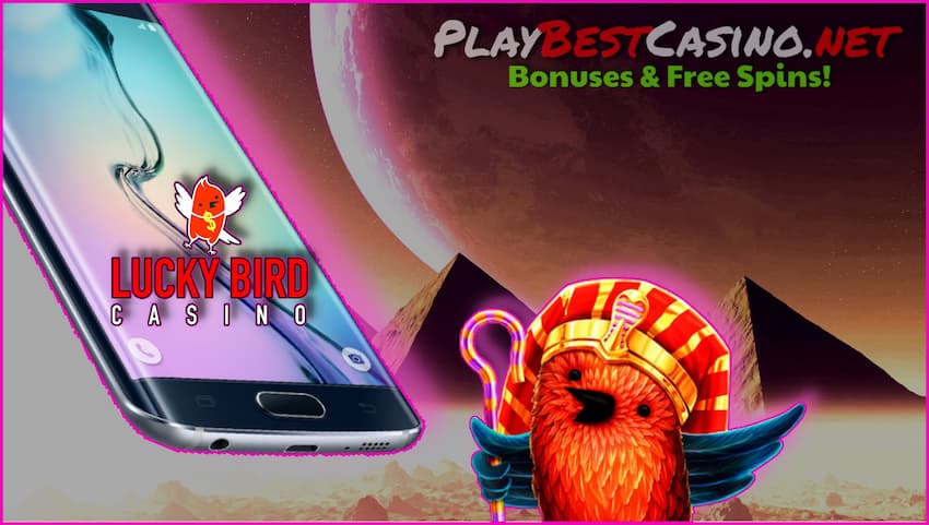 Mobile app lucky Bird Kasino untuk Android dan 50 putaran gratis tanpa deposit pada foto.