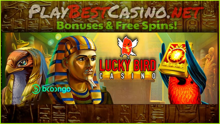 Casino depozit uchun bonus yo'q Lucky Bird saytdagi yangi o'yinchilar uchun Playbestcasino.net rasmda.