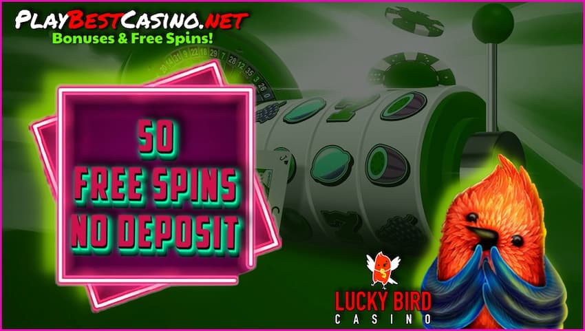 50 Gratis Spins Casino Ingen Indskudsbonus Lucky Bird præsenteret på billedet.