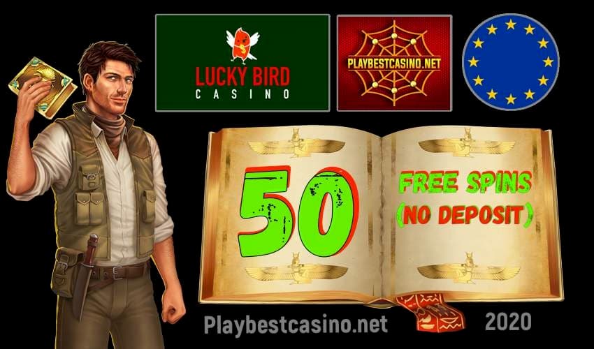 Casino Review Lucky Bird 2024 og gratis spins uden indbetaling til registrering på billedet.