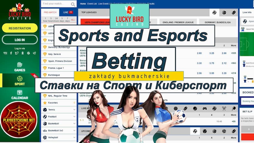 Spil på kasinoet Lucky Bird med væddemål på sport og e-sport er vist på billedet.