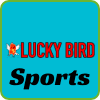 Lucky Birds Športové stávky logo PlaybestCasino.net je na fotografii.