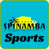 Spinamba 賭場和體育標誌 PNG PlayBestCasino.net 在照片上。
