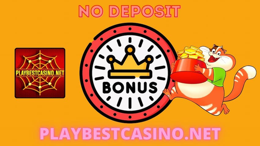 You will find the best no deposit bonuses on the website Playbestcasino.net on the picture.
